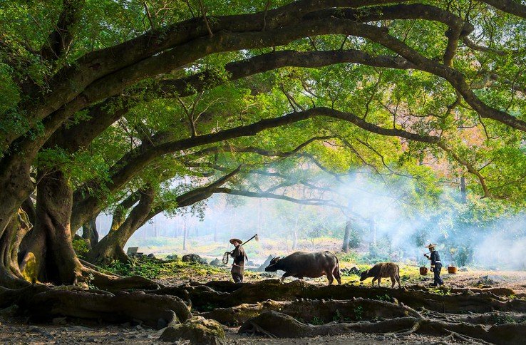 Unveiling the Mysteries of China's Five Elements (Wu Xing)