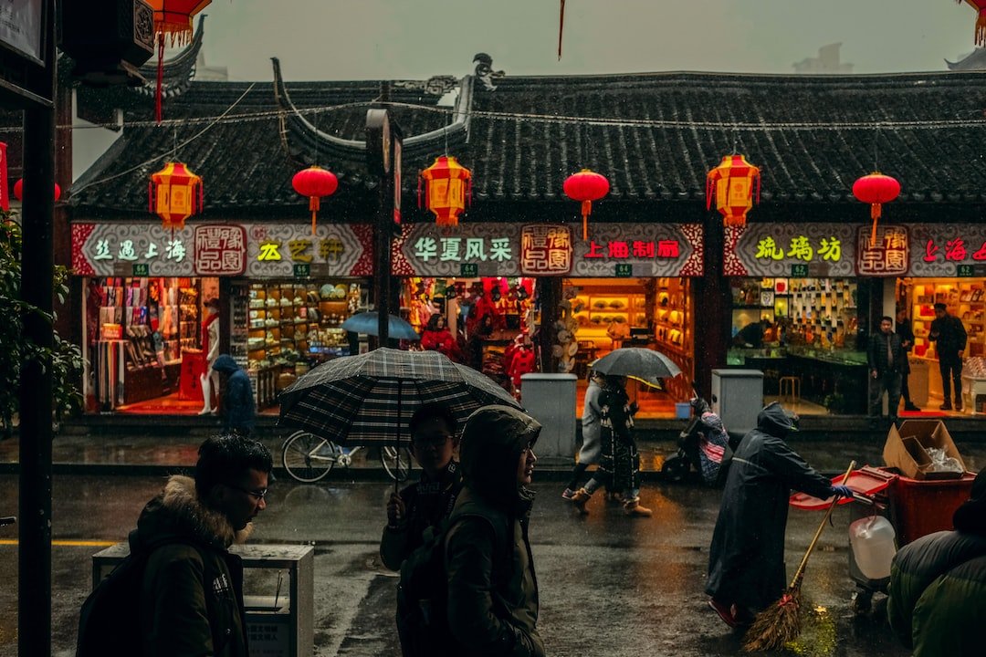 Exploring the Ancient Wisdom of Traditional Chinese Medicine (TCM)